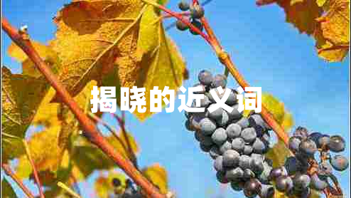 揭曉的近義詞 揭曉的近義詞