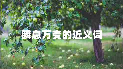 瞬息萬(wàn)變的近義詞