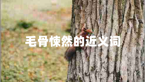 毛骨悚然的近義詞