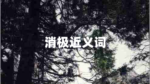 消極近義詞 消極近義詞