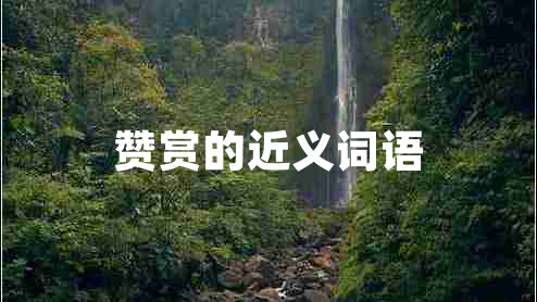 贊賞的近義詞語(yǔ)