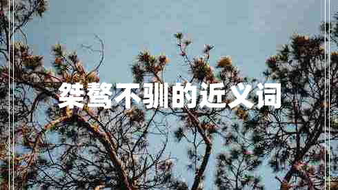 桀驁不馴的近義詞 桀驁不馴的近義詞