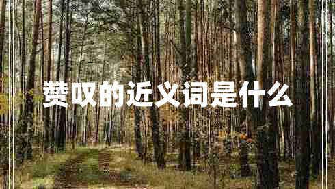 贊嘆的近義詞是什么 贊嘆的近義詞是什么