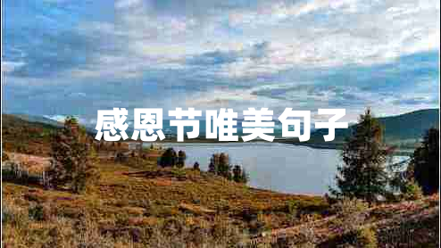 感恩節(jié)唯美句子