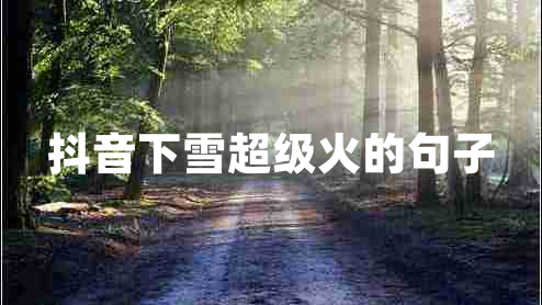 抖音下雪超級(jí)火的句子