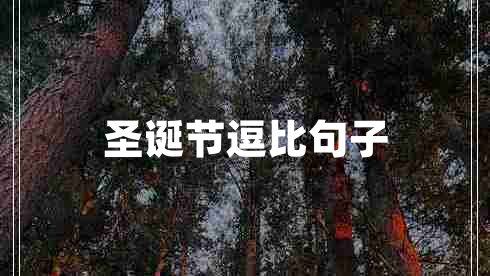 圣誕節(jié)逗比句子