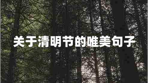 關(guān)于清明節(jié)的唯美句子