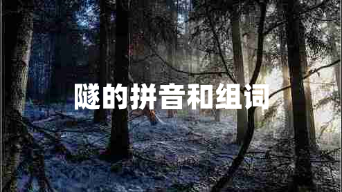 隧的拼音和組詞 隧的拼音和組詞