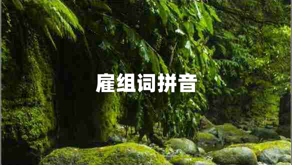 雇組詞拼音 雇組詞拼音