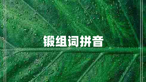 鍛組詞拼音 鍛組詞拼音