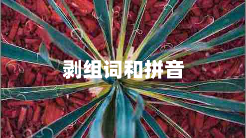 剝組詞和拼音 剝組詞和拼音