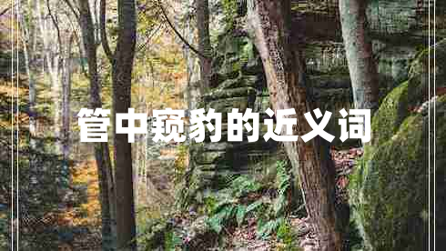 管中窺豹的近義詞