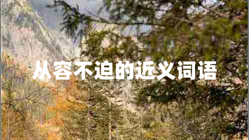 從容不迫的近義詞語