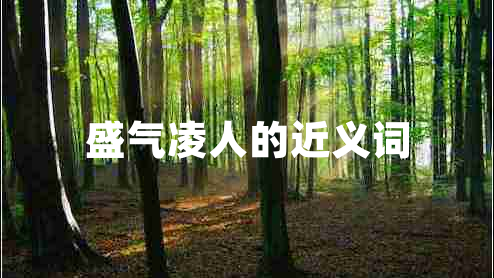 盛氣凌人的近義詞