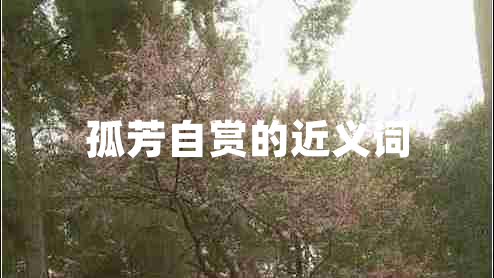 孤芳自賞的近義詞