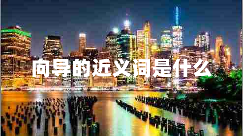 向?qū)У慕x詞是什么