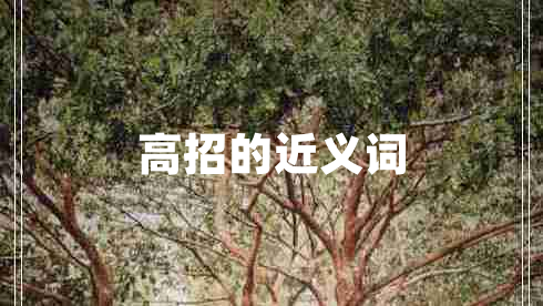 高招的近義詞