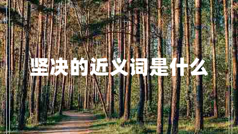 堅決的近義詞是什么 堅決的近義詞是什么