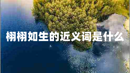 栩栩如生的近義詞是什么