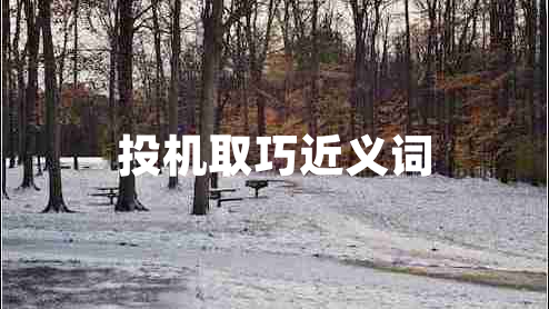 投機取巧近義詞