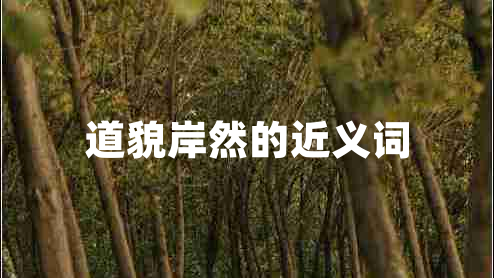 道貌岸然的近義詞