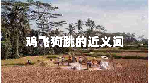 雞飛狗跳的近義詞