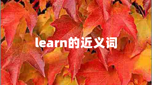 learn的近義詞 learn的近義詞