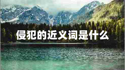 侵犯的近義詞是什么