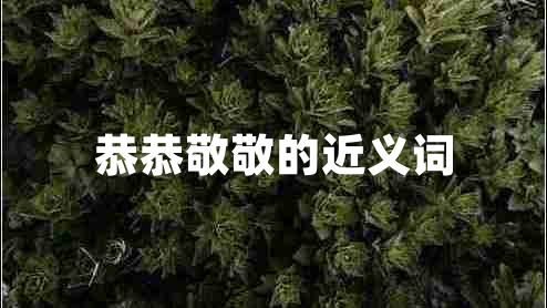 恭恭敬敬的近義詞