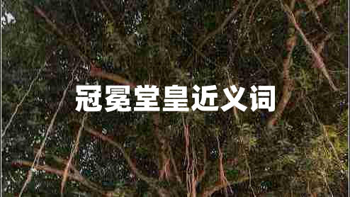 冠冕堂皇近義詞 冠冕堂皇近義詞