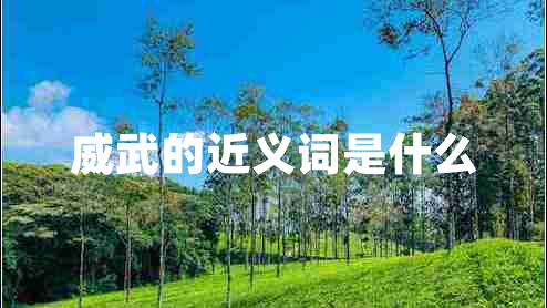 威武的近義詞是什么