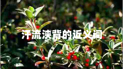 汗流浹背的近義詞 汗流浹背的近義詞