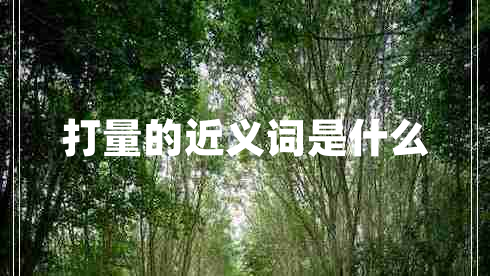 打量的近義詞是什么