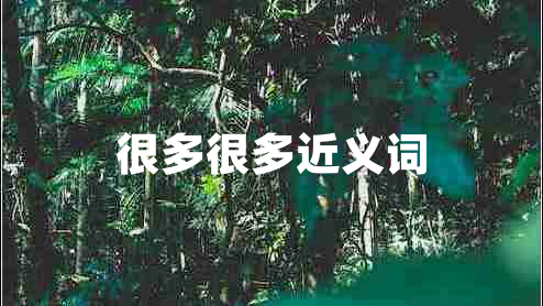 很多很多近義詞