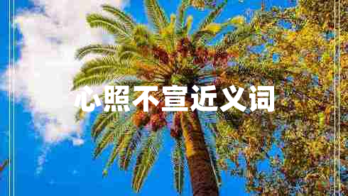 心照不宣近義詞