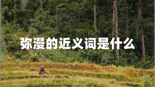 彌漫的近義詞是什么