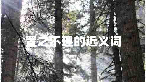 置之不理的近義詞