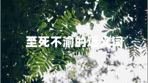 至死不渝的近義詞