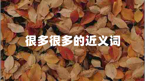 很多很多的近義詞