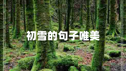 初雪的句子唯美 初雪的句子唯美