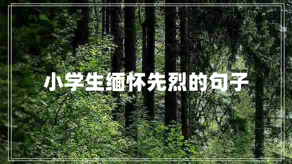 小學(xué)生緬懷先烈的句子 小學(xué)生緬懷先烈的句子