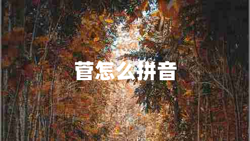 菅怎么拼音 菅怎么拼音