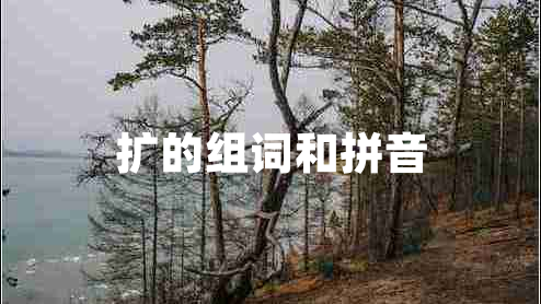 擴(kuò)的組詞和拼音