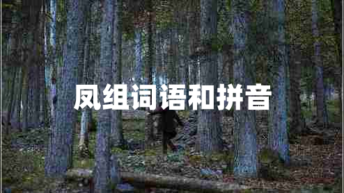 鳳組詞語(yǔ)和拼音 鳳組詞語(yǔ)和拼音