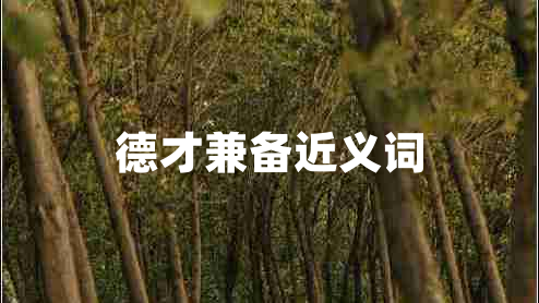 德才兼?zhèn)浣x詞