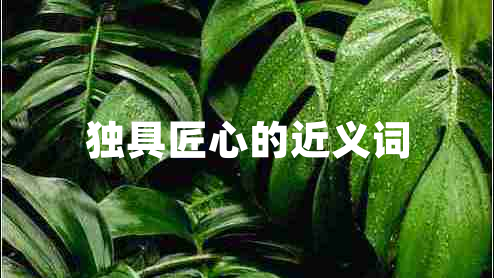 獨具匠心的近義詞