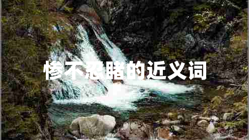 慘不忍睹的近義詞