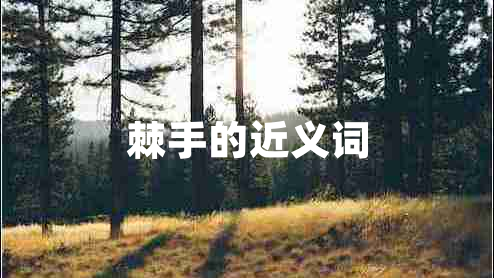 棘手的近義詞 棘手的近義詞