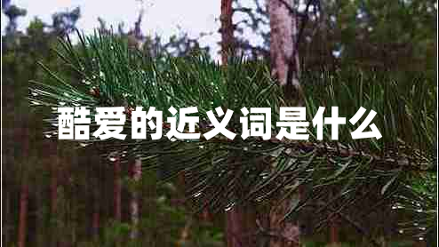 酷愛的近義詞是什么