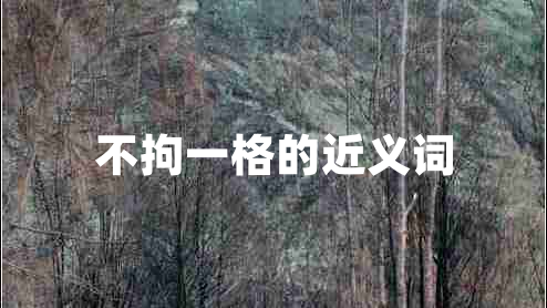 不拘一格的近義詞